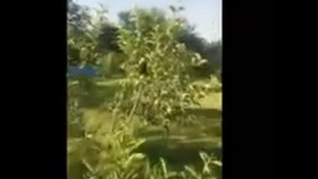 Притча о любимой даче от дачника Валерия смотреть онлайн