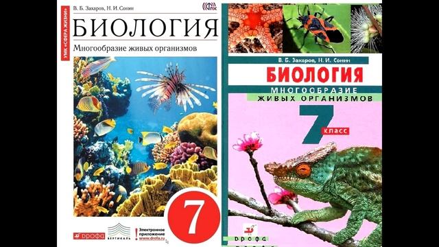 § 2 Царство грибы + ответы на вопросы смотреть онлайн