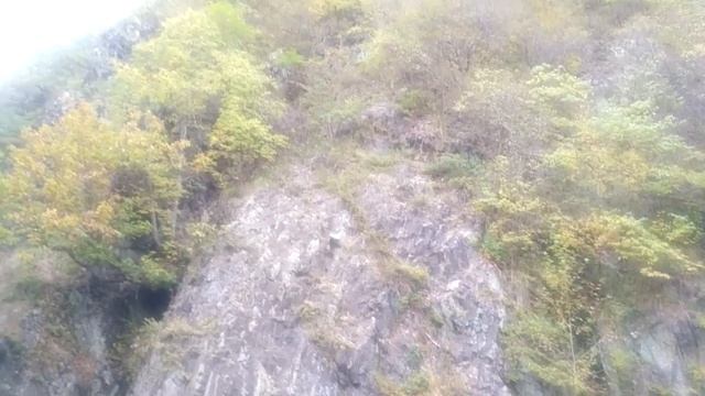 Уссурийский край