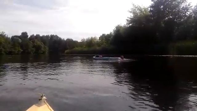 Можно плавать на сапе, а можно и рядом с сапом смотреть онлайн