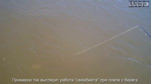 Обзор работы свимбета