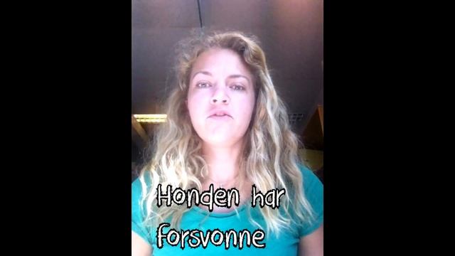 Norwegian Dialect: Stavanger