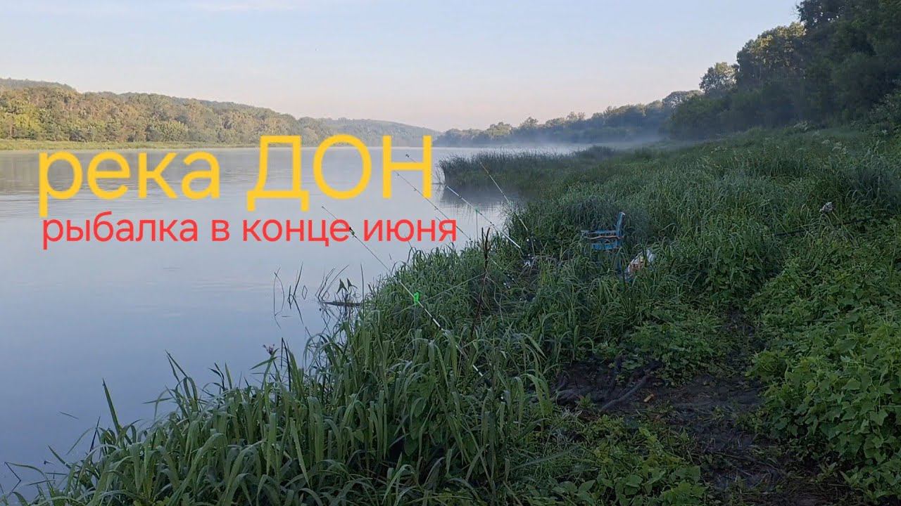 РЫБАЛКА НА ДОНУ В КОНЦЕ ИЮНЯ смотреть онлайн