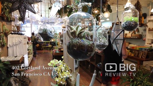Succulence, a Florist in San Francisco CA for Succulents or for Potted Plants смотреть онлайн