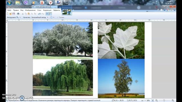Энергия деревьев часть 2 смотреть онлайн