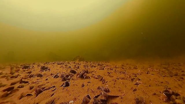 Микро Балансир и Окунь. Подводные съемки. Зимняя рыбалка на окуня смотреть онлайн