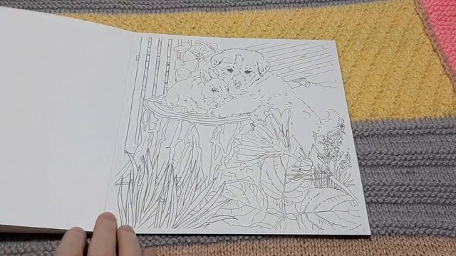 Раскраски Манящее море и Любимые животные на акварельной бумаге смотреть онлайн