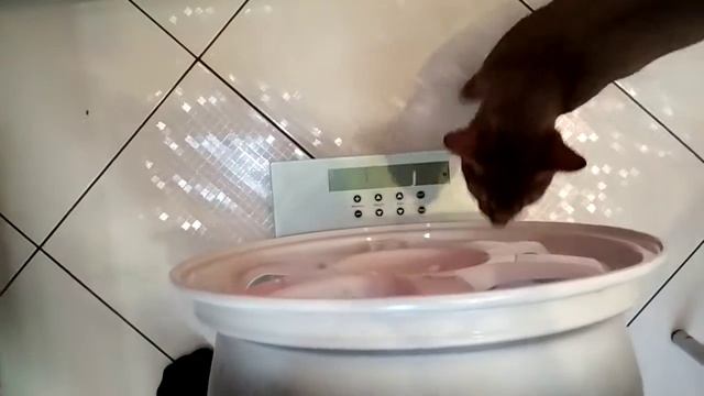 Вес ТЕ-37 7J/16 смотреть онлайн