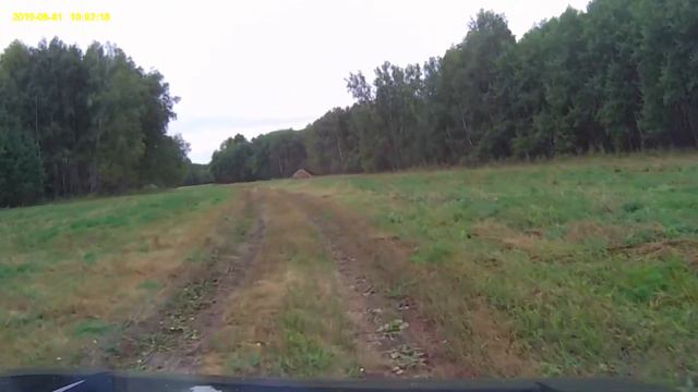Перебежки косули смотреть онлайн