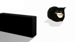 Заставка "Крутящийся кот Максвелл" / Spinning Cat Maxwell / 2x2, 06.04.2023 БЕЗ ЛОГОТИП [1.0]