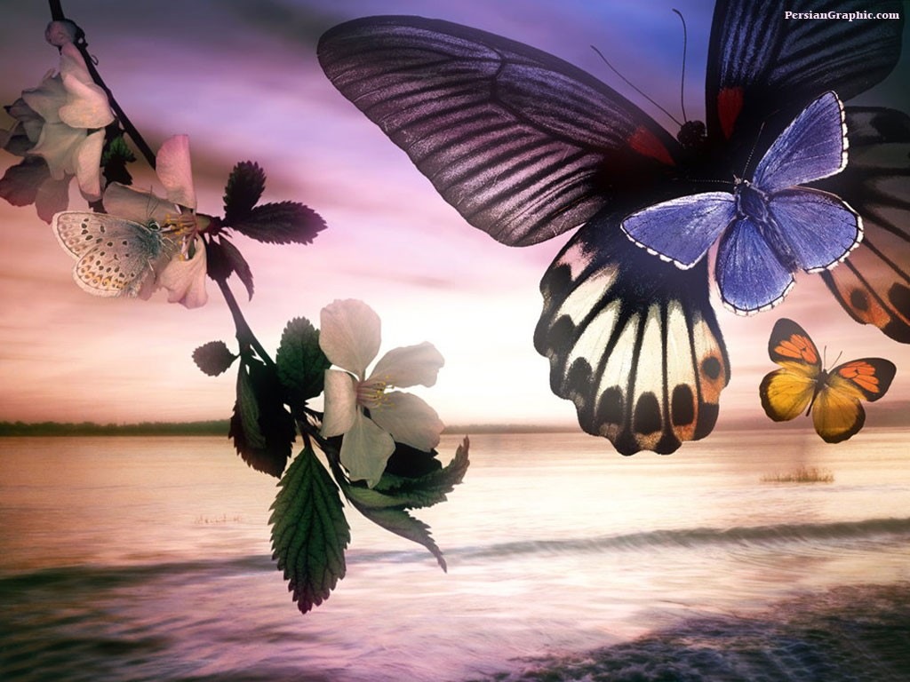 Добрый вечер! Красивое пожелание