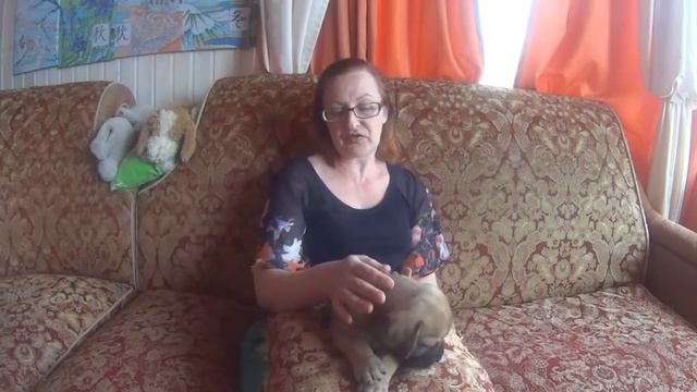 Дневник бурбуля смотреть онлайн