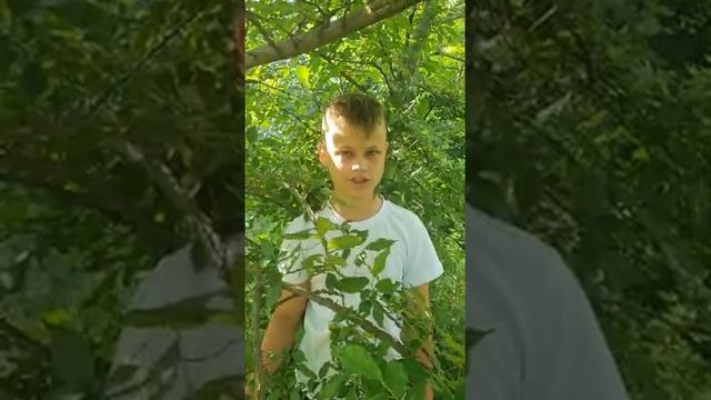 Александр Бердников стихотворение "Гляжу на Русь" #нереальнокультурносочи #дши5сочи смотреть онлайн
