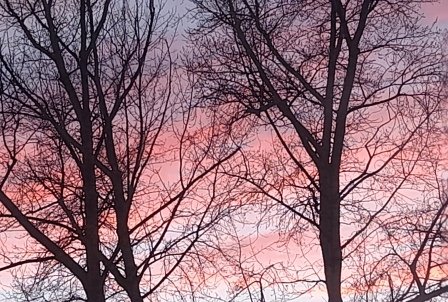 3.МАРТ.Песня жаворонка..mp4 смотреть онлайн