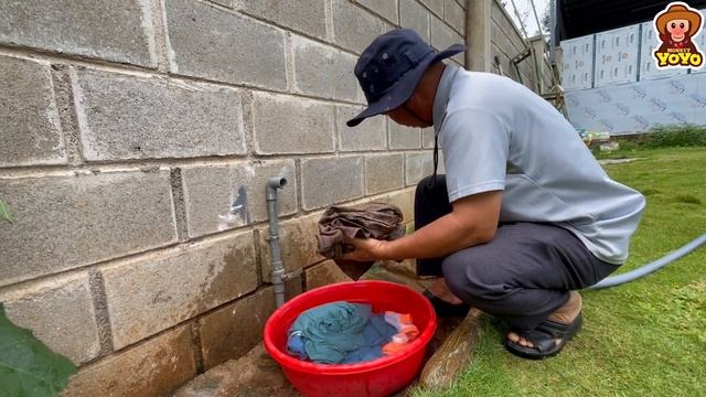 Monkey YiYi Helps Grandpa Take Care Of Ủn Ỉn