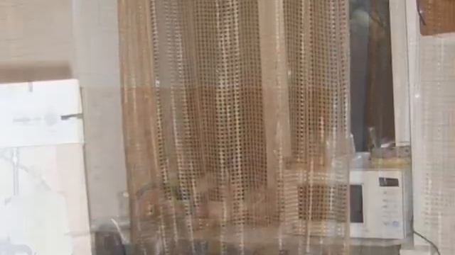 ул. Пролетарская, д. 167 смотреть онлайн