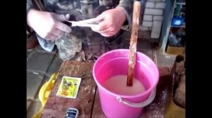 Восстанавливаем кору дерева