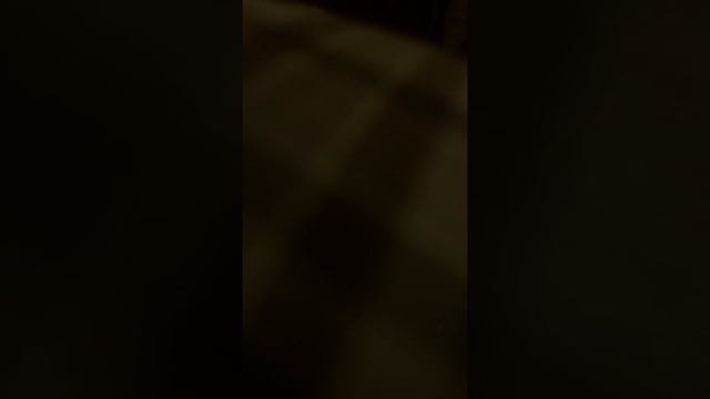 Surah Mulk Abdul Kadir смотреть онлайн