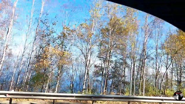 Доехали до республики Бурятии и съели с Серёгой весь Бухлёр смотреть онлайн