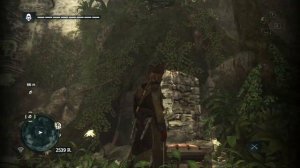 42. Assassin's Creed 4 Black Flag: Большой Инагуа - тайны