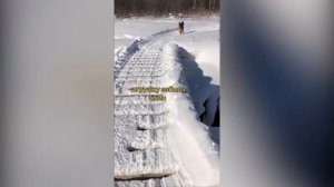 СМЕШНЫЕ ВИДЕО ТИК ТОК, СМЕЙСЯ ДО СЛЕЗ