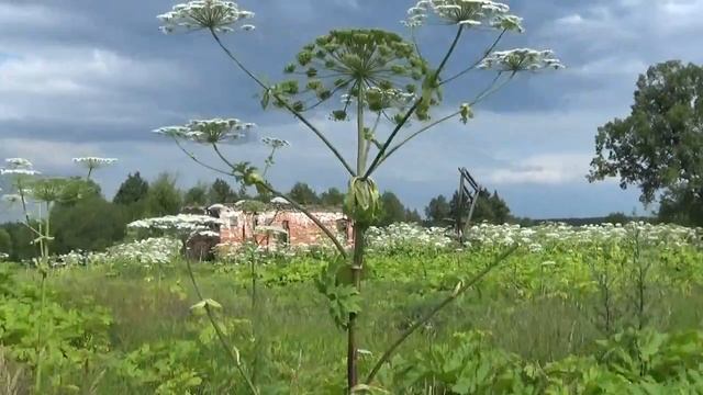Болдино - родовое гнездо Татищевых в Московской области, Солнечногорский район, 15 07 15 смотреть онлайн