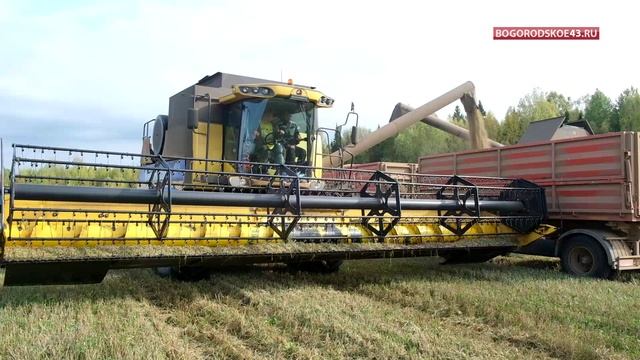 Уборка зерновых окончена смотреть онлайн