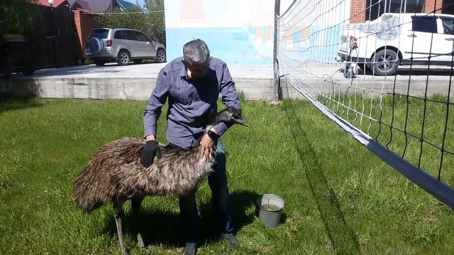 20160519 114959 смотреть онлайн