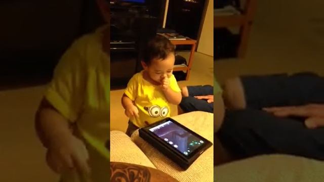 Pookie playing Angry Birds смотреть онлайн