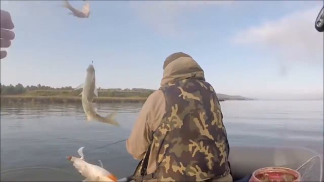 Классная оснастка... И щука и окунь на спиннинг по несколько штук за раз!!! смотреть онлайн