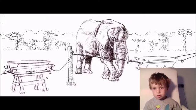 Кого боятся слоны? Саванный слон (Savannah Elephant) смотреть онлайн