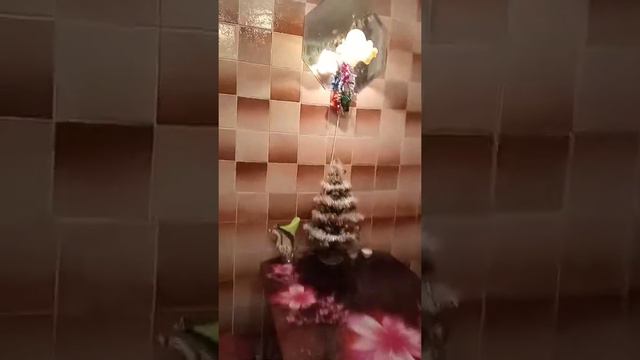 Купила новый стол на кухню смотреть онлайн