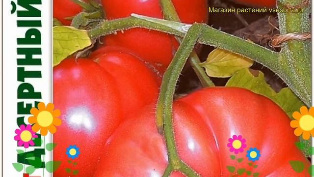 Томат Десертный розовый. Краткий обзор, описание solanum lycopersicum Desertnyj rozovyj смотреть онлайн