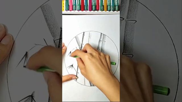 pencil drawing bamboo смотреть онлайн