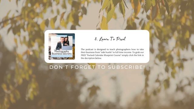Photography Business Secrets Podcast - Episode 8: Learn To Pivot смотреть онлайн