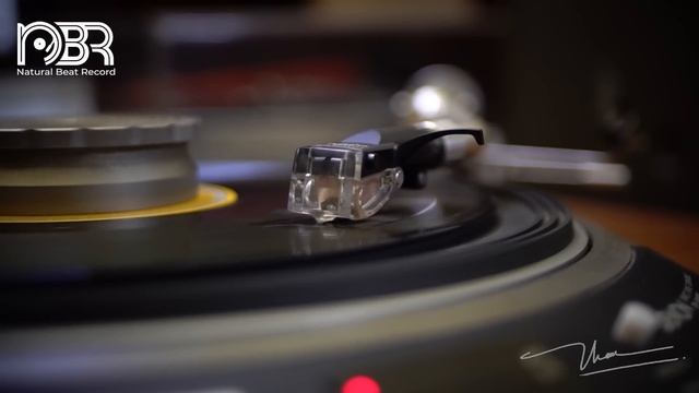 Audiophile Music Collection 2023 - Analogue Records - Audiophile NBR Music