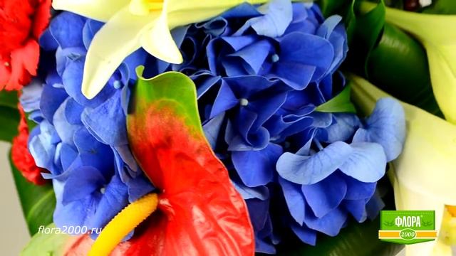 Букет на подарок - композиция из цветов, Flora2000.ru смотреть онлайн