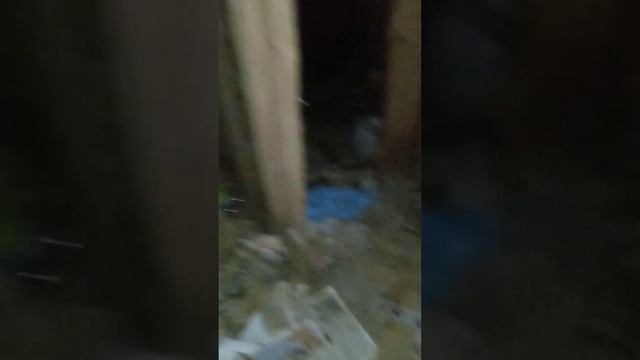 нашёл медаль в подвале смотреть онлайн