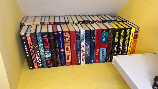 КНИЖНЫЕ ПОЛКИ| Часть 2 смотреть онлайн