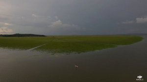 Озеро Болонь. Хабаровский край Амурский район Джуен #природа