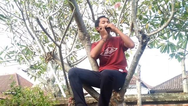 Ed Sheeran - Perfect cover Harmonica 24 Hole C смотреть онлайн