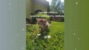 умение любить/дарить принимать любовь/саблиминал