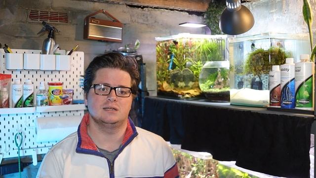 The ULTIMATE Aquarium Water Conditioner Comparison! смотреть онлайн