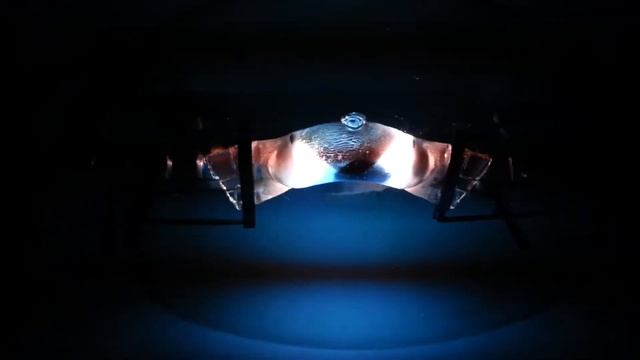 Первый запуск металлогалогенной лампы MS175 HOR смотреть онлайн