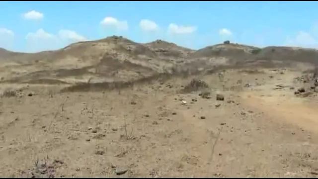 История создания организации "Искусство жизни" смотреть онлайн