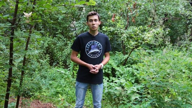 Календарь природы. Июль смотреть онлайн