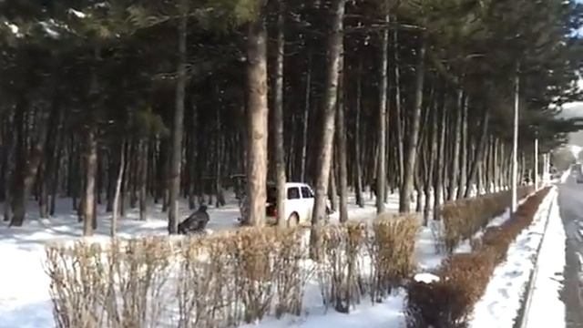 суровая зима пятигорска смотреть онлайн