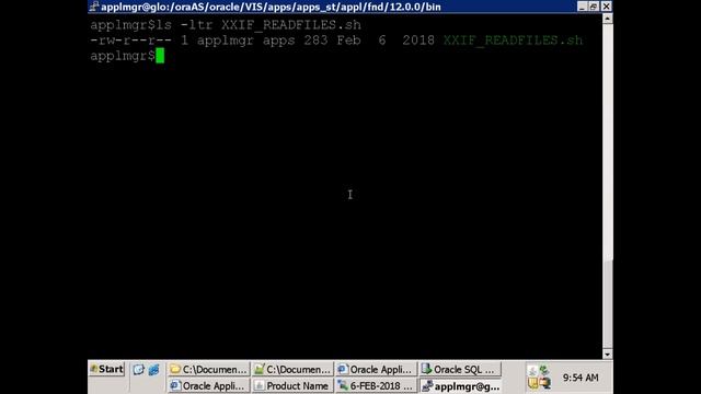 Oracle E-Business Suite -R12 - Unix Samples смотреть онлайн