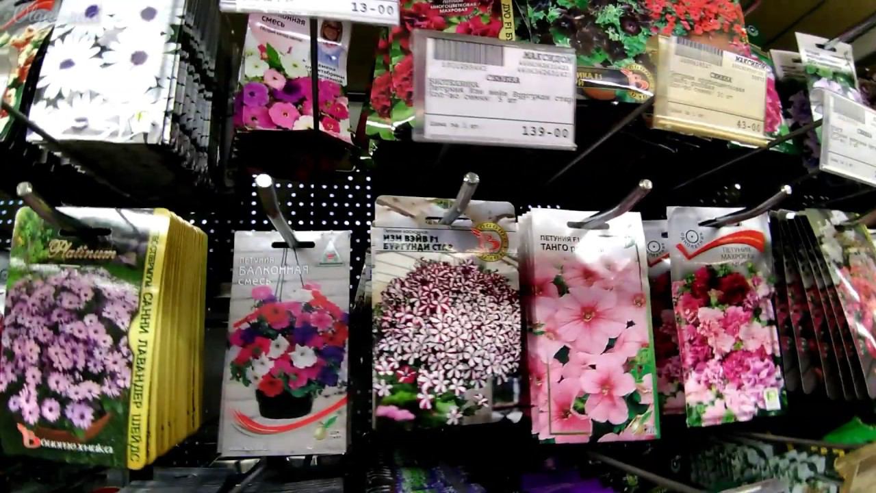 Максидом.Семена.Покупки для сада. смотреть онлайн