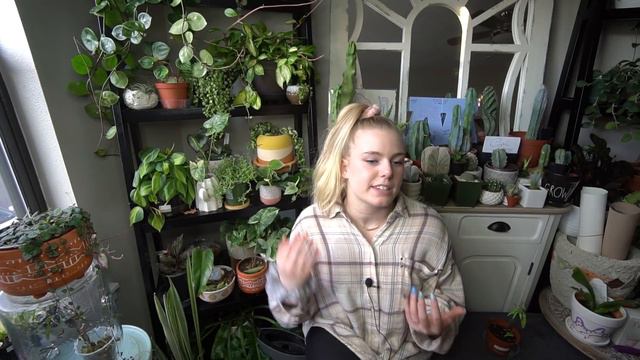 Endangered Rare House Plants: Anthurium Cutucuense! A Threatened Aroid Ethics Lesson смотреть онлайн